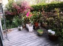 Shanghai apartment rent with gardens near SCIS